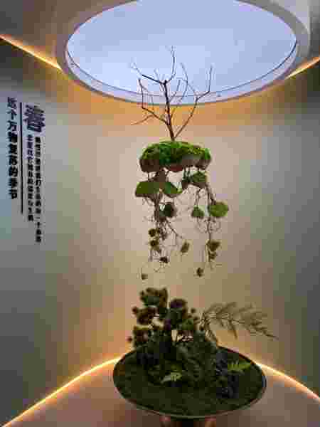 菲尼艺术涂料