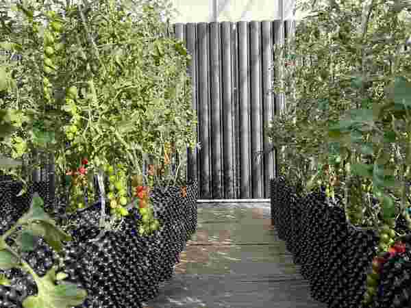 如何解决寒地农业难题？石墨烯大棚来助力
